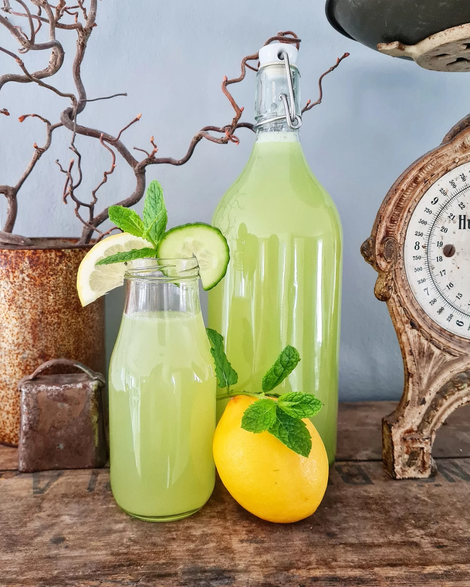 Renande Detoxjuice Renande Detoxjuice